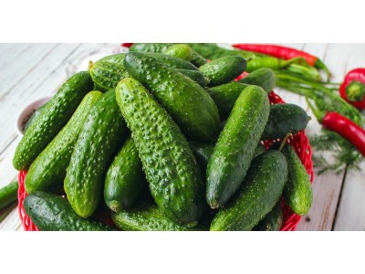 Как засолить огурцы