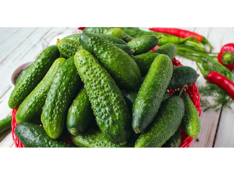 Як засолити огірки