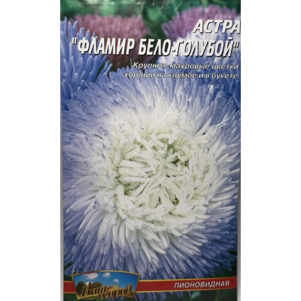 Цветы Астра Фламир бело-голубая пионоподобная 0,2 г