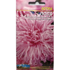 Квіти Астра Пола хризантемоподібна однорічна 0,2 г 