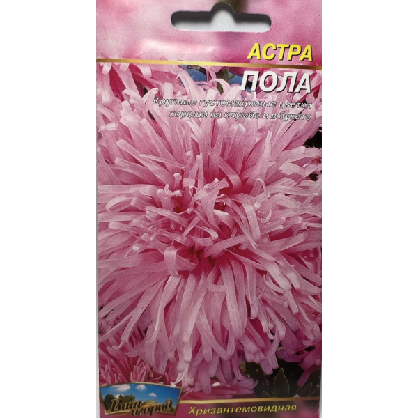 Цветы Астра Пола хризантемовидная однолетняя 0,2 г