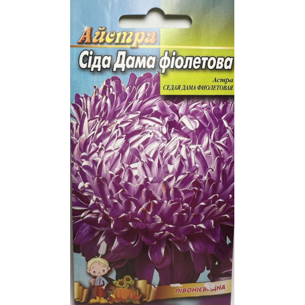 Цветы Астра Седая Дама фиолетовая однолетняя 0,2 г