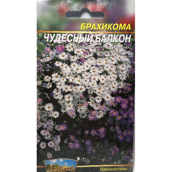Цветы Брахикома Чудесный балкон однолетняя 0,1 г