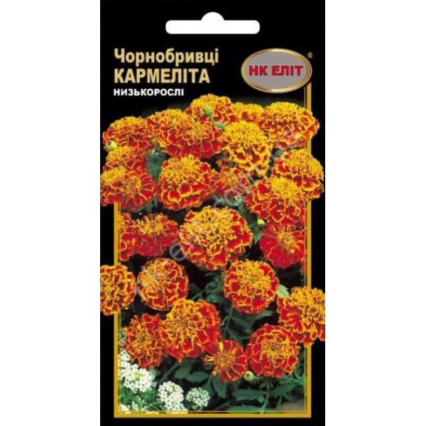 Квіти Чорнобривці Кармеліта 0,5 г