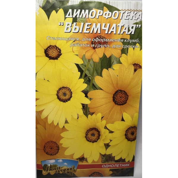 Квіти Диморфотека Виїмчаста однорічник 0,2 г 