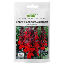 Лобелія багаторічна Королева Вікторія 