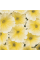 Петунія мультфлора Міраж F1 жовта 20 шт Pan American