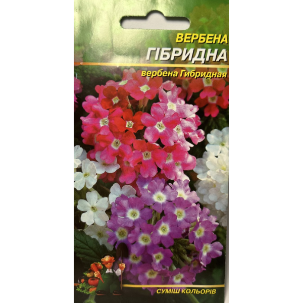Квіти Вербена гібридна багаторічна 0,1 г