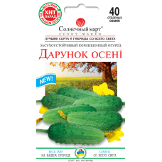 Огірок Подарунок осені Сонячний Березень 40 насінин