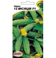 Огірок 12 місяців F1 10 шт Нк Еліт