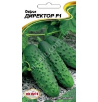 Огурец Директор F1 10шт Нк Элит