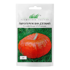 Гарбуз Руж Віф д'Етамп, 10 шт Clause 