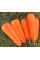 Морковь Боливар F1 средняя 400 шт