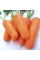 Морковь Чикаго F1 для полезного сока, 400 шт Wing Seed Голландия