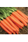 Морковь Нантес Тип Топ для детского питания, 1 г