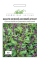 Базилік Анісовий аромат зелений, 0,5 г