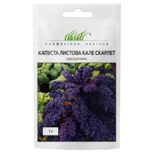 Капуста кале Скарлет кучерява червона 1 г W.Legutko