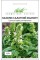 Базилик Мамонт салатный, зеленый, 0,5 г Hem Zaden