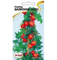 Помидор Балконное чудо 0,1г Нк Элит