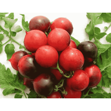 Томат Небеса Орегона 0,1 г