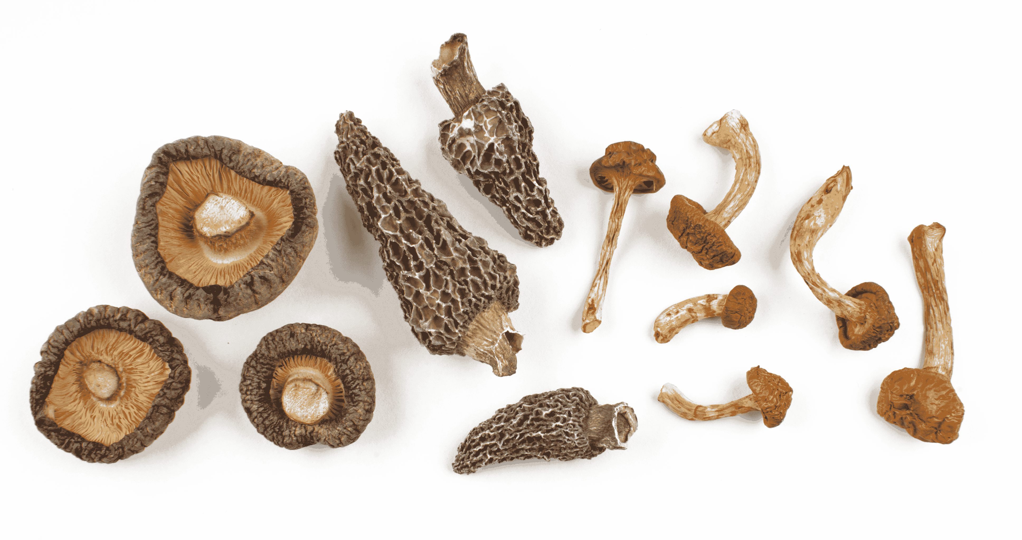 Сушенные грибы